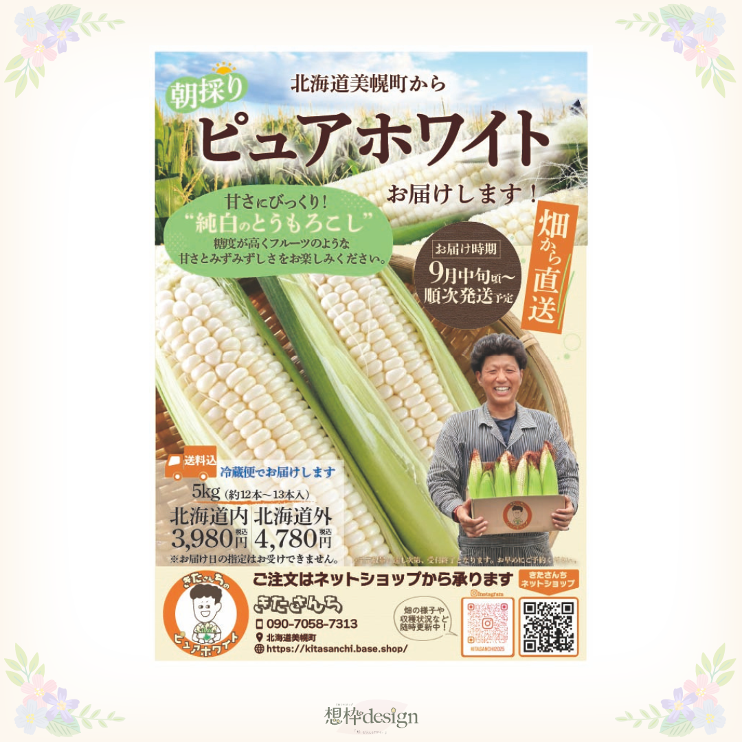 きたさんち_ピュアホワイトチラシ